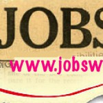 cropped-jobs-windows3.jpg